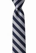 THE SAVOIA — Navy & Silver Regimental Silk Tie