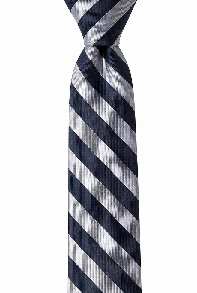 THE SAVOIA — Navy & Silver Regimental Silk Tie